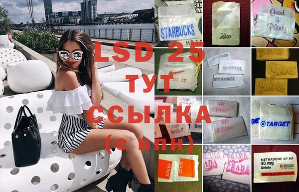 ПСИЛОЦИБИНОВЫЕ ГРИБЫ Наволоки