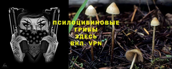 эйфоретик Михайловск